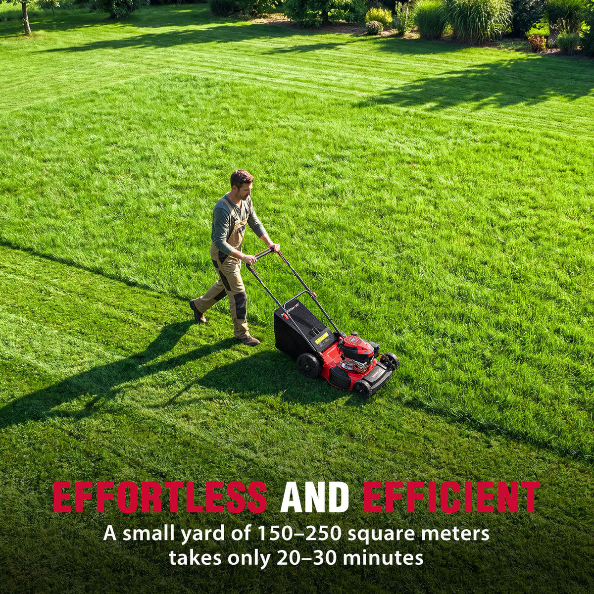 21" 144cc Gas Push 3-in-1 Lawn Mower  DB8621P