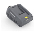 40V 4A Battery Charger DB2202A (Battery Not Included)